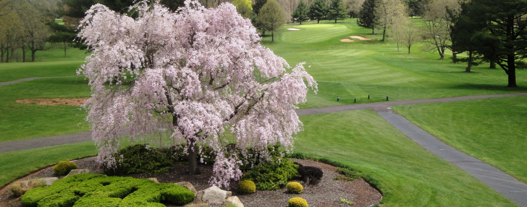 Spring ford country club pennsylvania #5